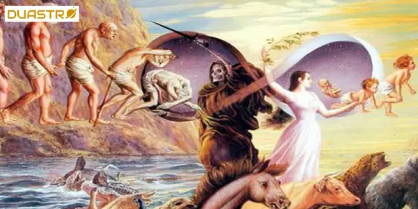 Animal Reincarnation Insights